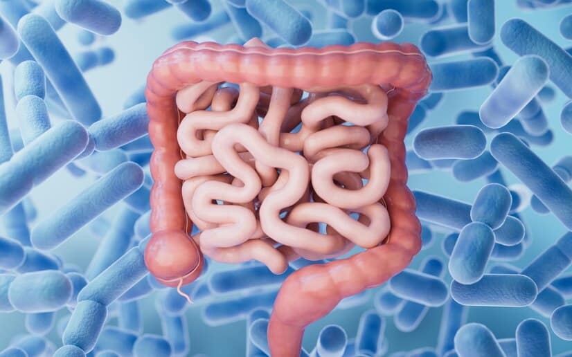 10 Simple Lifestyle Changes To Improve Gut Health